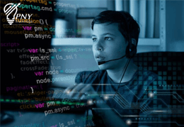 Learn Advance CSS with Python Developer